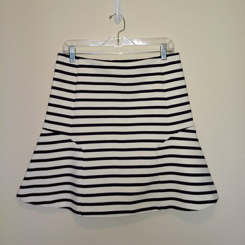 Ann Taylor Skirt